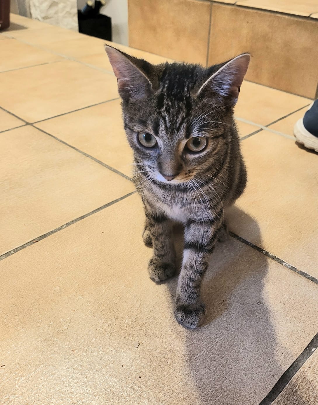 Isla
