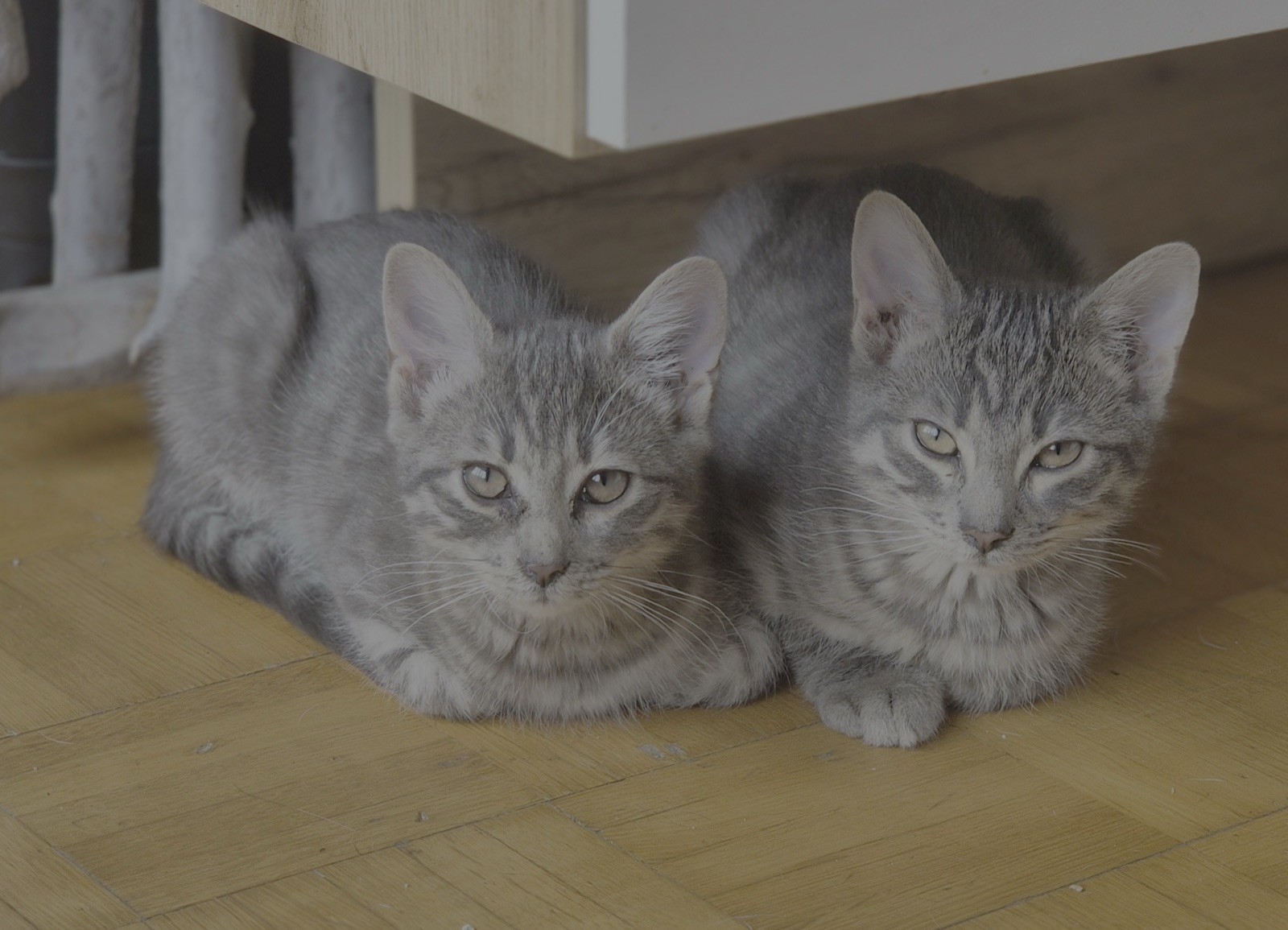 Libby und Leni