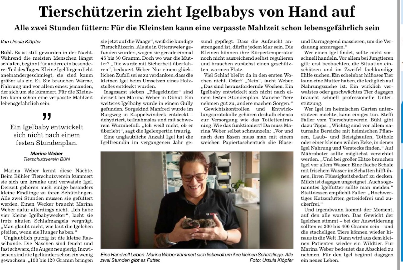 Zeitungsartikel der BNN: Tierschützerin zieht Igelbabys von Hand auf