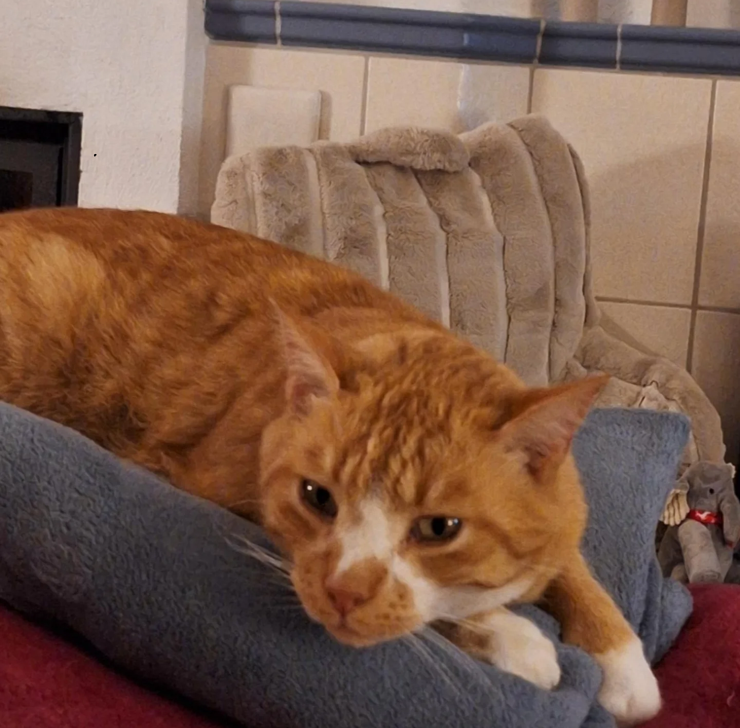 Max